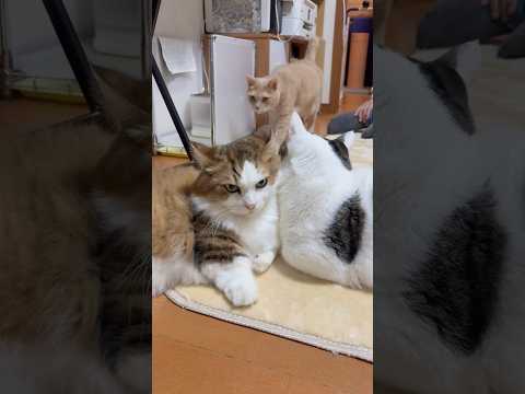 後ろに不穏な気配が