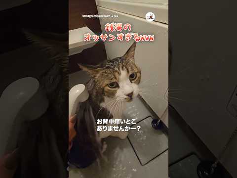 おっさんにしか見えない｜PECO サムネイル