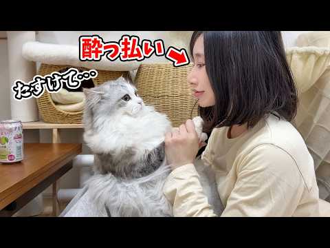 酔っ払いのママにされるがままにされた子猫がこちら…涙 サムネイル