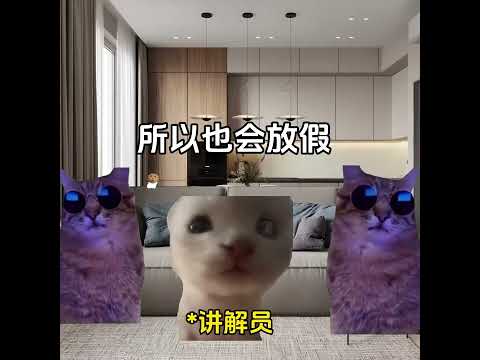 我是谁 有趣 猫meme 猫meme剧场 猫meme小剧场 内容过于真实  故事 貓 猫猫meme小剧场 喵不可言