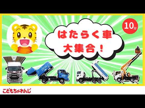 【10分のりものまとめ】はたらくくるま大集合！｜しまじろう 幼児 子ども｜しまじろうチャンネル公式 サムネイル