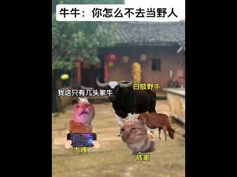 牛牛：你怎么不去当野人呢？ 有趣 猫meme 猫meme剧场 猫meme小剧场 内容过于真实  故事 貓 猫猫meme… サムネイル