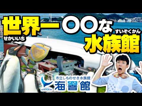 行く前に見て！世界一のフグ×ペンギン水族館「海響館」を徹底解説ガイドするよ🐡 サムネイル