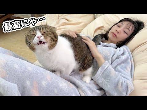 6日ぶりに帰宅できた猫が甘えん坊を爆発させてママから離れなくなりました…！ サムネイル