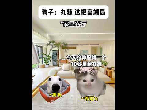 狗子：丸辣_这把高端局！！！ 有趣 猫meme 猫meme剧场 猫meme小剧场 内容过于真实  故事 貓 猫猫mem… サムネイル
