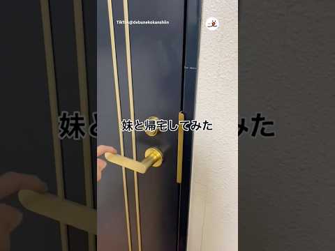 妹と一緒に家へ帰宅してみた｜PECO