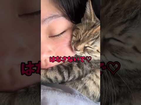もふもふ!あなたにもおすそ分け!🥰