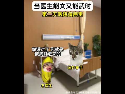 上班救死扶伤，下班重拳出击有趣 猫meme 猫meme剧场 猫meme小剧场 内容过于真实  故事 貓 猫猫meme小…