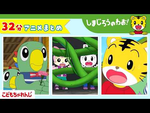【32分アニメ】「かあちゃんの　たからもの」ほか│思いやり│やさしさ│しまじろうのわお！アニメ│しまじろうチャンネル公式 サムネイル