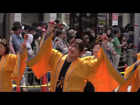 YOSAKOI・THE AKABANE⑧＠2026　赤羽馬鹿祭り・馬鹿踊りパレード サムネイル