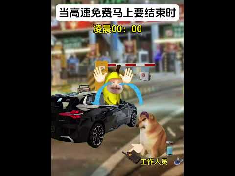 当高速免费马上就要结束时 有趣 猫meme 猫meme剧场 猫meme小剧场 内容过于真实  故事 貓 猫猫meme小… サムネイル