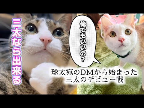 ずっと一緒に居たいから サムネイル