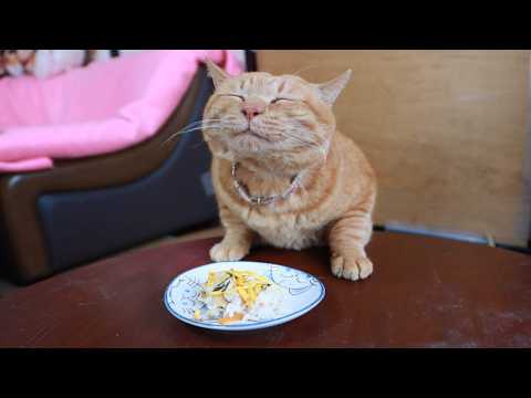 ちゃぶ台の上のちらし寿司　260303 サムネイル