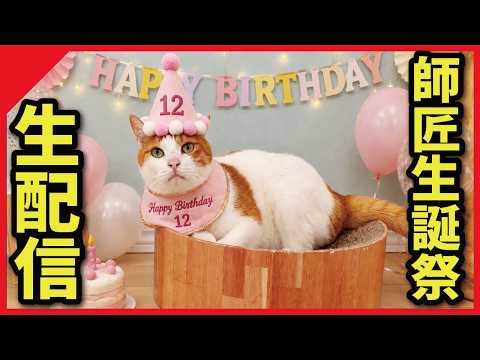 【㊗️】師匠12歳生誕祭&つくし全快お祝いしましょう！【生配信】 サムネイル