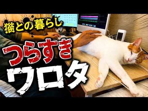 いいんですか！？猫と暮らすとこんな地獄が待ってますよ…！？