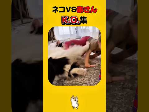 負けられない戦いが今ここにある サムネイル