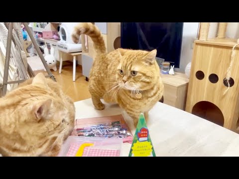 珍しく茶々くんが遅刻しちゃった日。 サムネイル