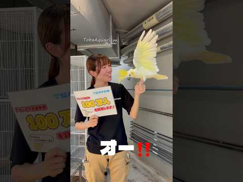 《鳥羽水族館》チャンネル登録者数100万人を目指します❗️✨チャンネル登録してね❤️‍🔥　鳥羽水族館 youtube…