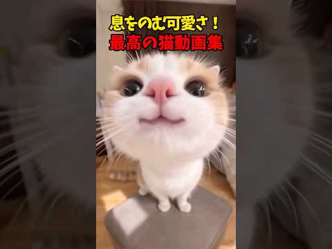 はっっと息を飲んでしまう…♥