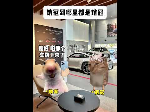 销冠到哪里都是销冠 有趣 猫meme 猫meme剧场 猫meme小剧场 内容过于真实  故事 貓 猫猫meme小剧场… サムネイル
