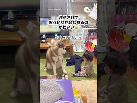 顔を見合わせるふたり｜PECO サムネイル