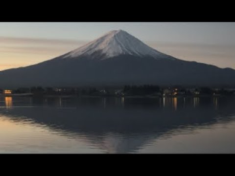ドS猫の球太 2025年最後の日の出 サムネイル