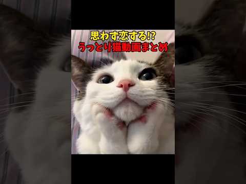 うっとり恋してる😍