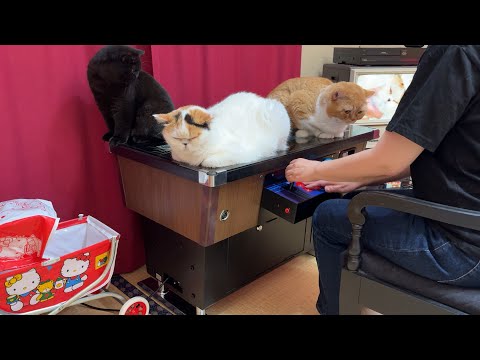 【家がゲーセン】テーブル型のゲーム機を買ったら速攻で猫たちに占領されました サムネイル