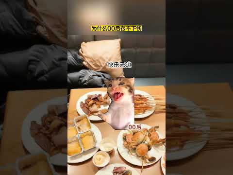 00后的钱都存哪了…  有趣 故事 貓 猫meme 内容过于真实 真实改编 猫meme小剧场 猫 サムネイル