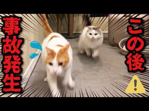 この後、師匠に大変なことが起きました…！💦💦💦 サムネイル