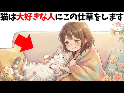 【猫が大好きな人にだけ見せる仕草】猫の雑学 サムネイル