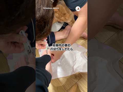 爪切りからママを守る猫｜PECO サムネイル