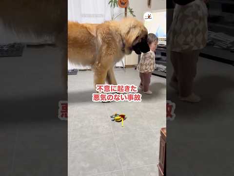 不意に起きた悪気のない事故｜PECO サムネイル