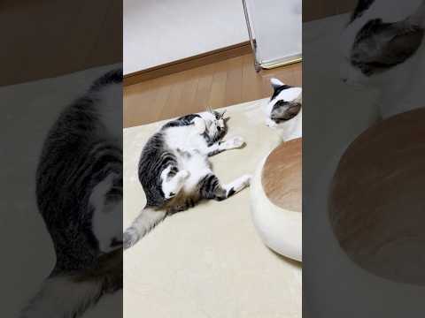 あの状態になると思ったのに・・・ サムネイル