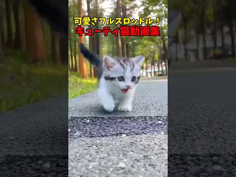 可愛さフルスロットル！♥ サムネイル