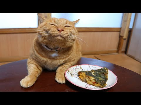 ちゃぶ台の上のナメタガレイの唐揚げ　260104 サムネイル