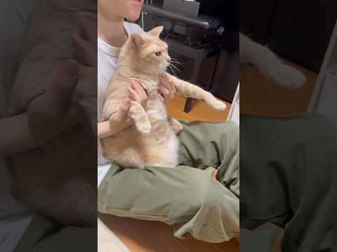 おぉぉろぉぉぉせぇぇぇ サムネイル