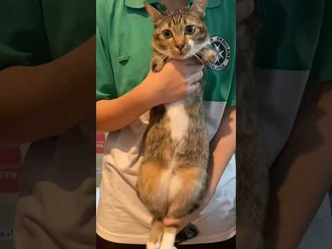 Make me freeze  #tyla #chanel