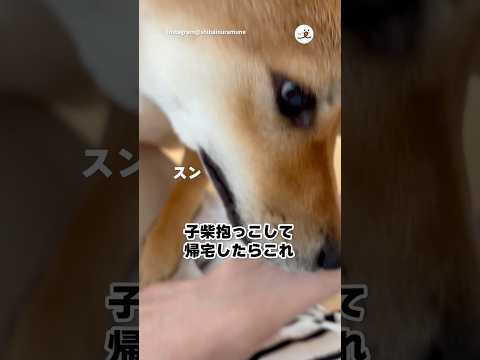 我が家の検問員｜PECO