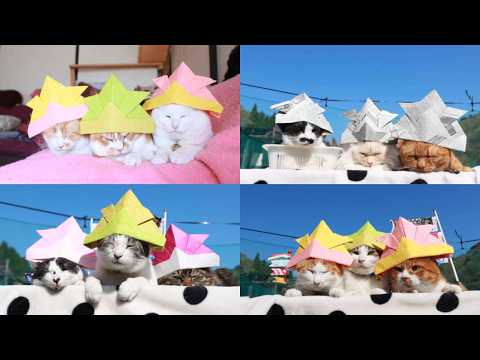 こどもの日　折り紙兜のせ猫　2026　260505 サムネイル