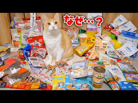 うちの猫たちに”とんでもない量”のプレゼントが届いてしまったので開封したら…。猫たちが暴れ回って大変なことになりました。 サムネイル