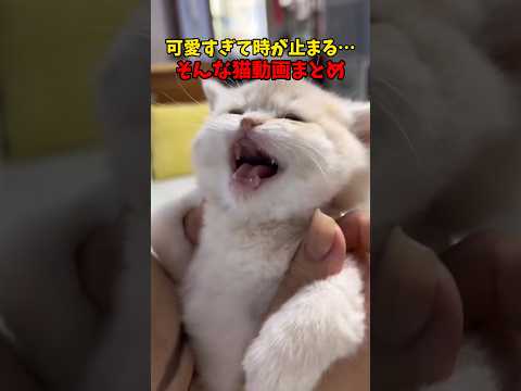 キュートですぅ♥ サムネイル