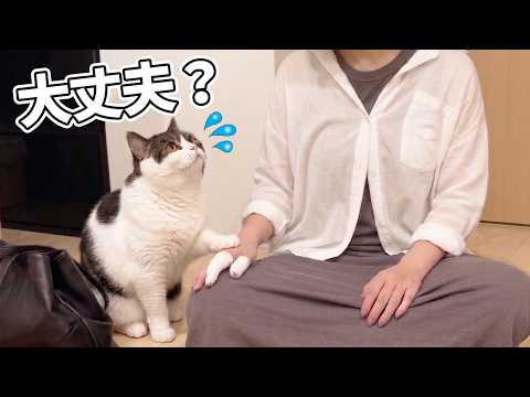 最愛の妹が骨折してしまい、心配する息子猫がこちらです。