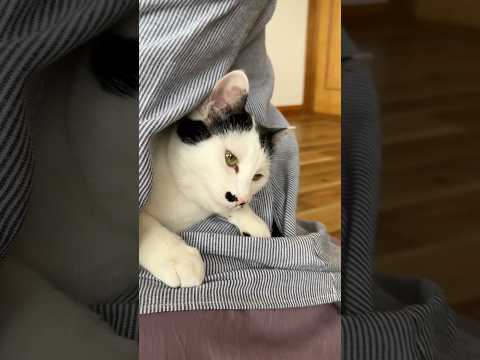 今日はセンターパートにしてみました サムネイル