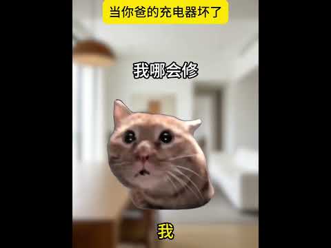 当父亲的充电器坏了有趣 猫meme 猫meme剧场 猫meme小剧场 内容过于真实  故事 貓 猫猫meme小剧场 喵… サムネイル