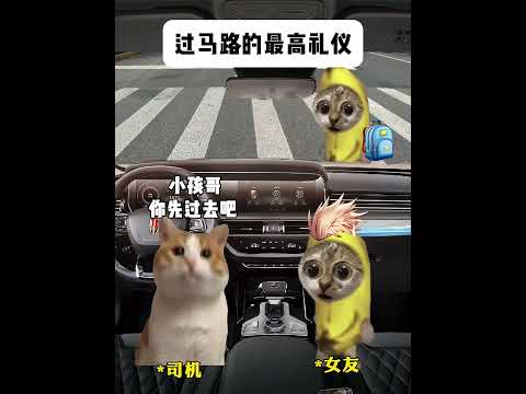 过马路的最高礼仪 有趣 猫meme 猫meme剧场 猫meme小剧场 内容过于真实  故事 貓 猫猫meme小剧场 喵… サムネイル