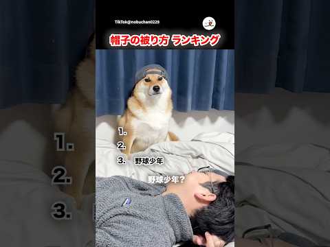 いろんなスタイルがある🧢｜PECO サムネイル