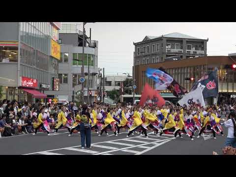 朝霞鳴子一族め組・パレード＠2026　彩夏祭前夜祭 サムネイル