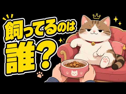 猫目線で見る人間の行動がだいたいチョロすぎる件 猫 雑学 豆知識 トリビア サムネイル
