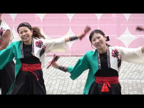 音ら韻＠2026　サクラタウンよさこい～春の特別祭～ サムネイル